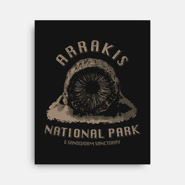 Arrakis National Park-None-Stretched-Canvas-bomdesignz