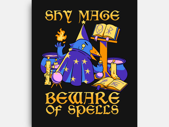 Shy Mage