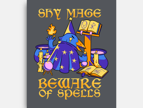 Shy Mage