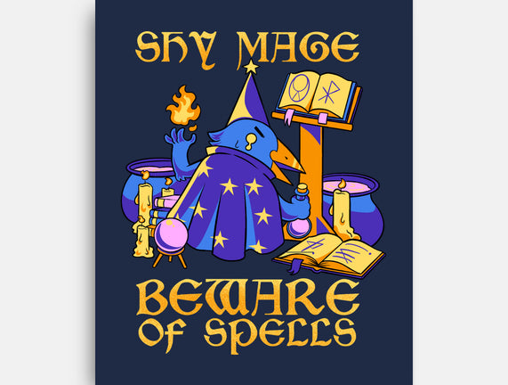 Shy Mage