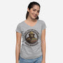 Only You Can Prevent Book Burnings-Womens-V-Neck-Tee-kg07