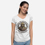 Only You Can Prevent Book Burnings-Womens-V-Neck-Tee-kg07