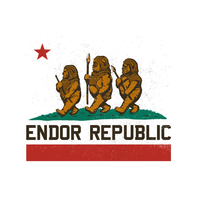 Endor Republic-Youth-Basic-Tee-Hafaell