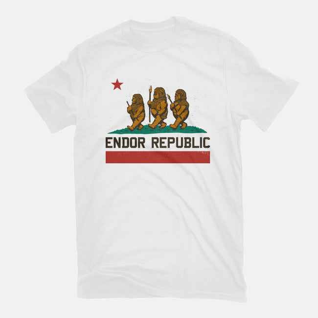 Endor Republic-Womens-Basic-Tee-Hafaell