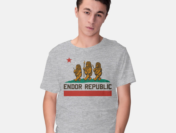 Endor Republic