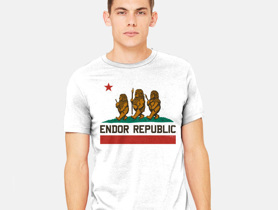 Endor Republic