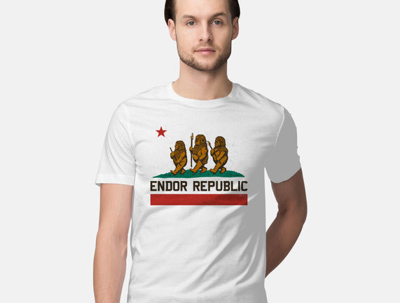 Endor Republic