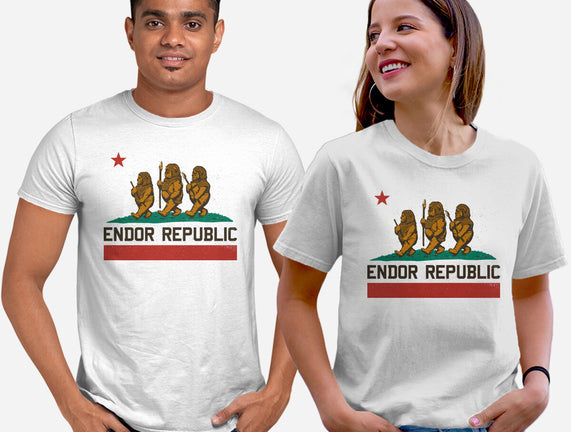 Endor Republic