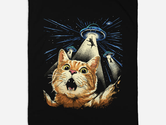 The Purrr-fect Abduction