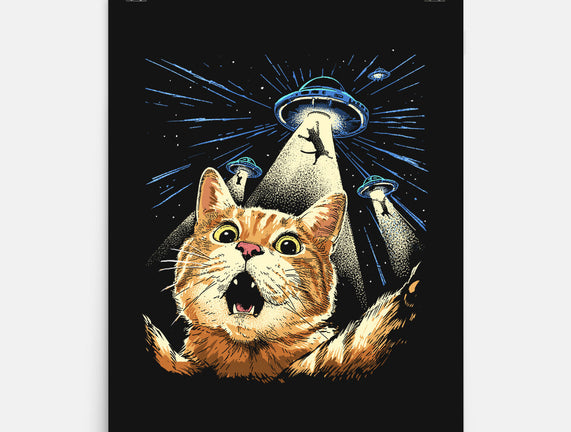 The Purrr-fect Abduction