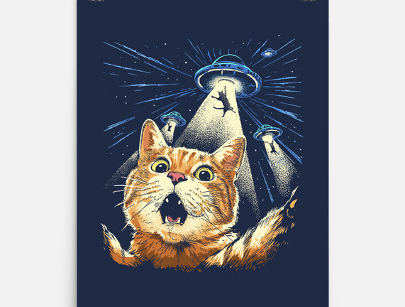 The Purrr-fect Abduction