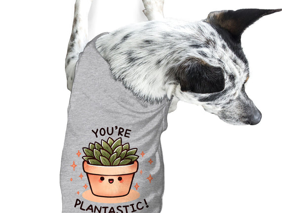 You're Plantastic