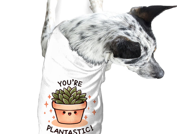 You're Plantastic