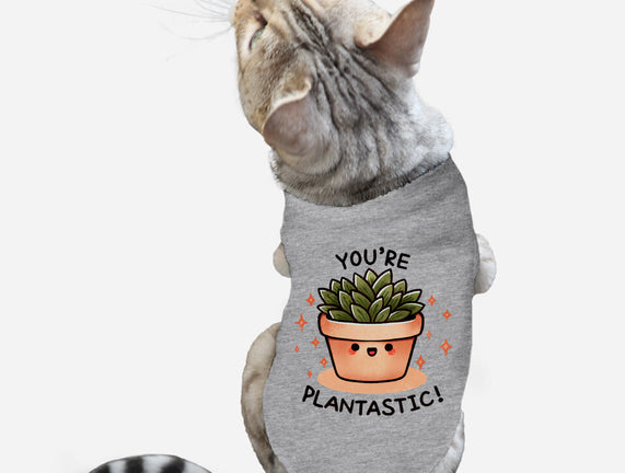 You're Plantastic