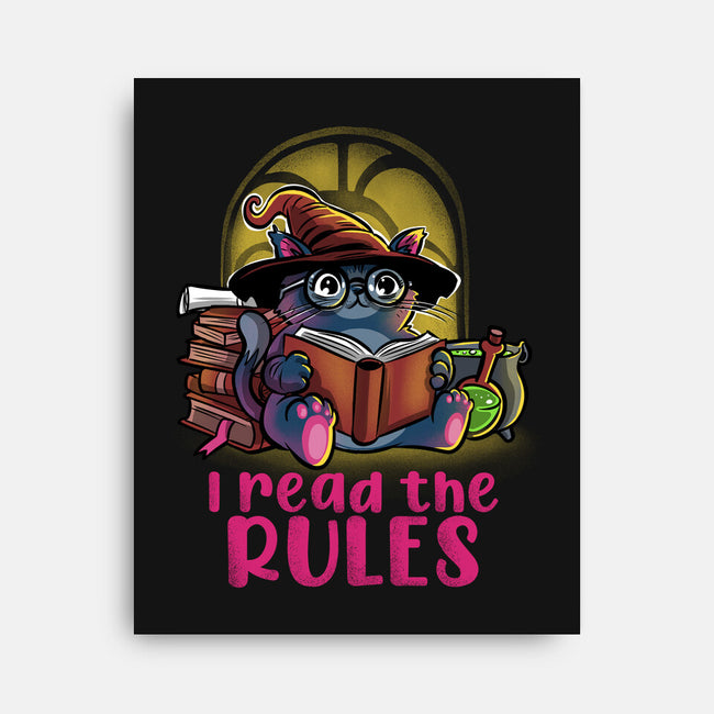 I Read The Rules-None-Stretched-Canvas-zascanauta