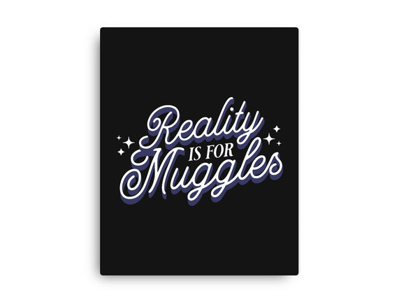 Reality Is For Muggles