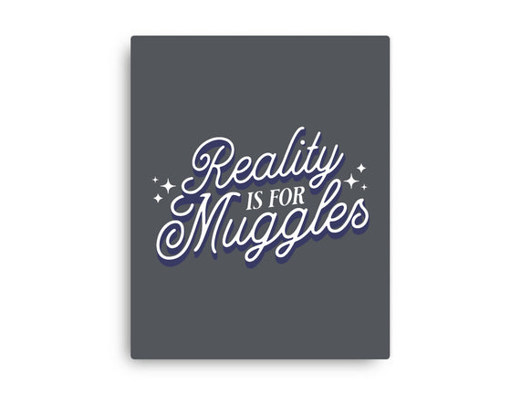 Reality Is For Muggles