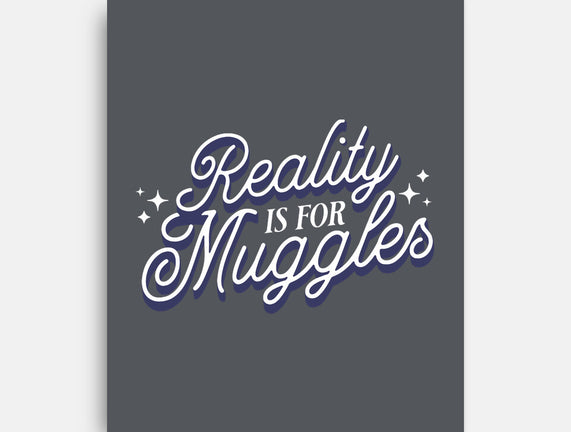 Reality Is For Muggles