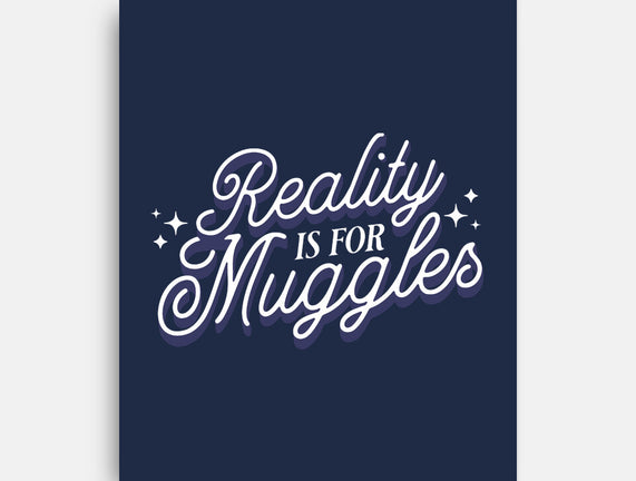 Reality Is For Muggles