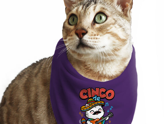 Cinco De Meow-yo