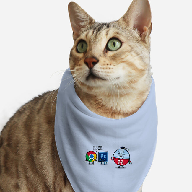 Campus Disc-Cat-Bandana-Pet Collar-Raffiti