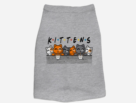 Kittens