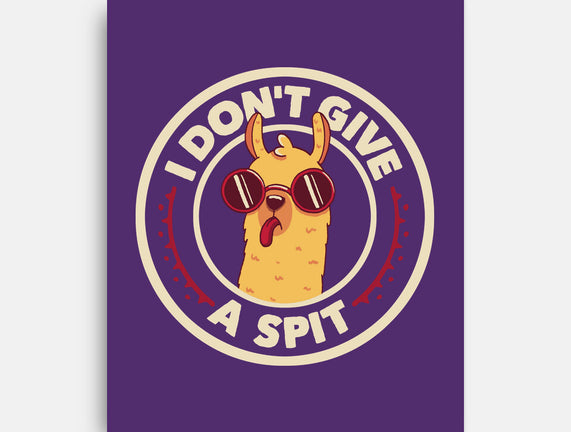 I Don't Give A Spit