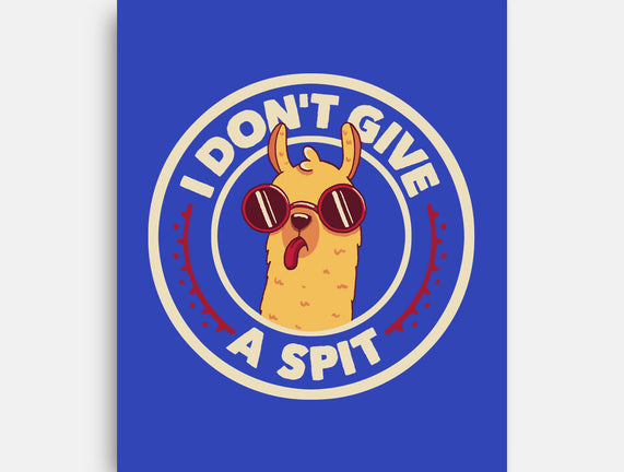 I Don't Give A Spit