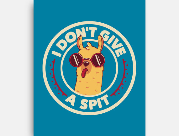 I Don't Give A Spit