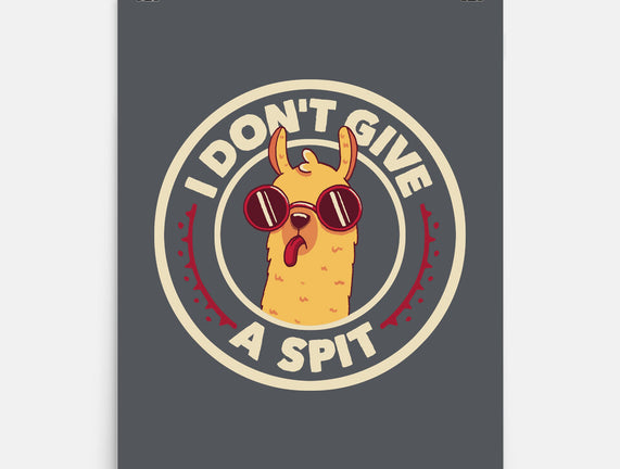 I Don't Give A Spit