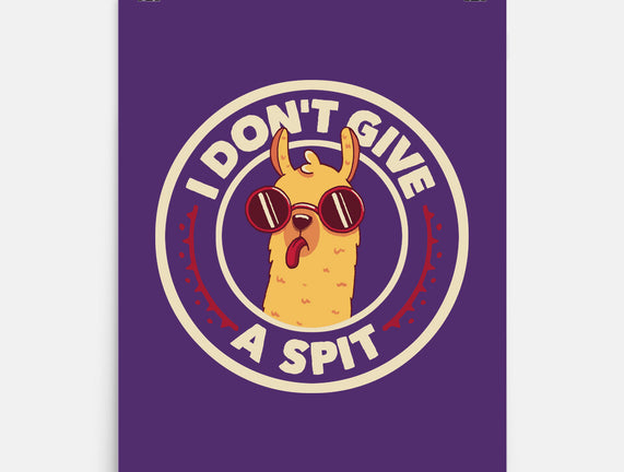 I Don't Give A Spit