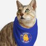 Queer As Duck Pride-Cat-Bandana-Pet Collar-tobefonseca