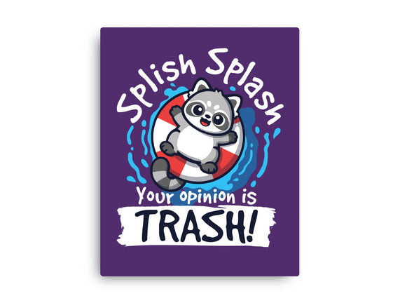 Splish Splash Trash