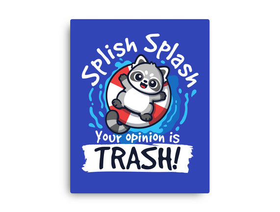 Splish Splash Trash