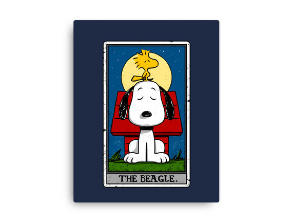 The Beagle