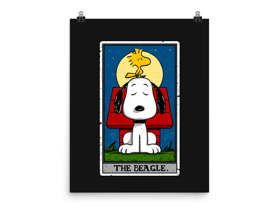 The Beagle