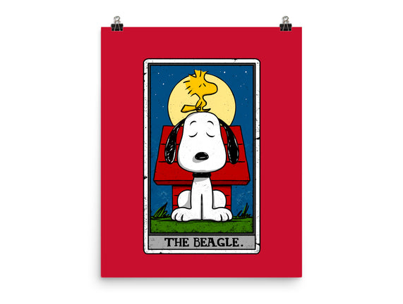 The Beagle