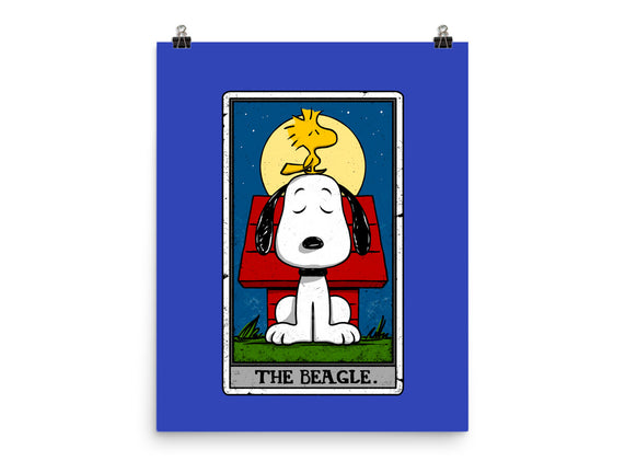 The Beagle