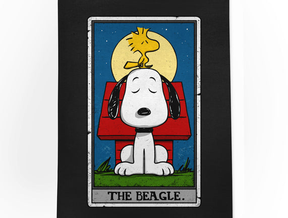 The Beagle