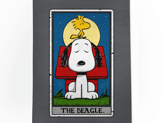 The Beagle