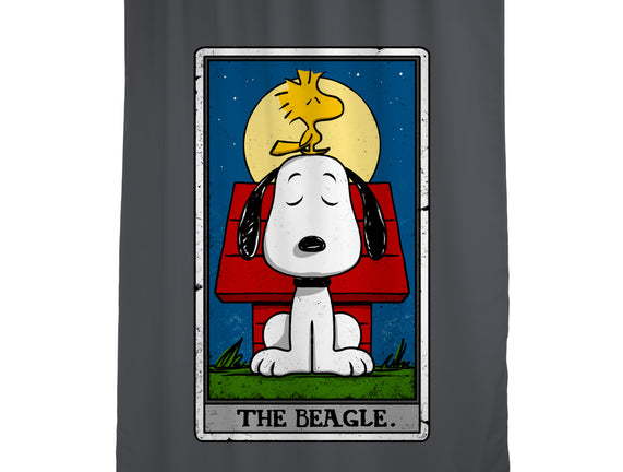 The Beagle