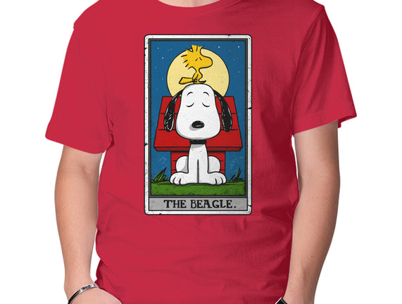 The Beagle