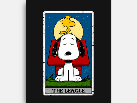 The Beagle