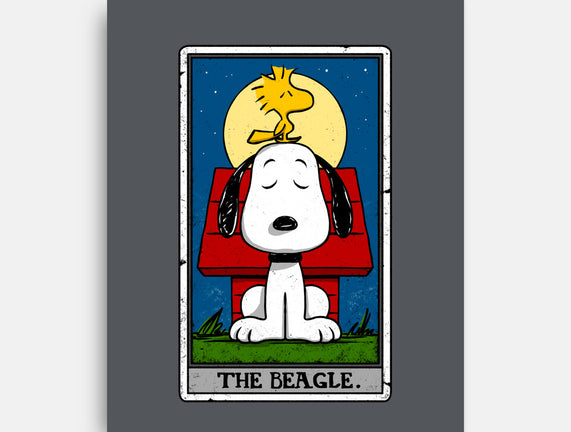 The Beagle