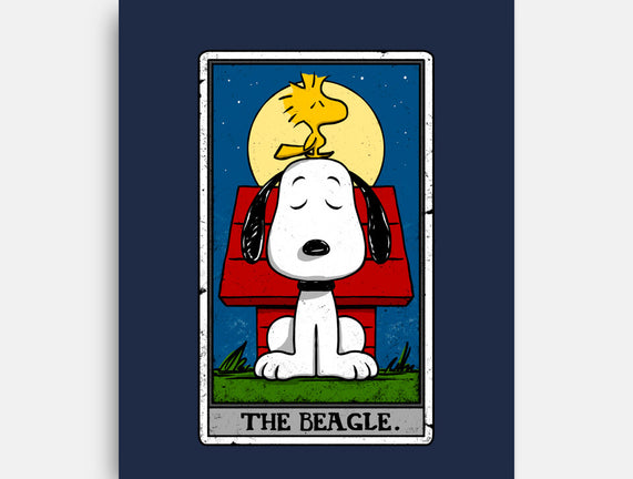 The Beagle