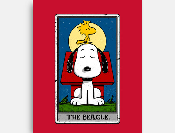 The Beagle