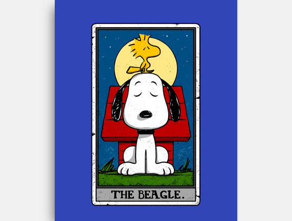 The Beagle