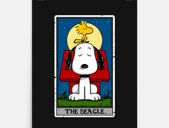 The Beagle