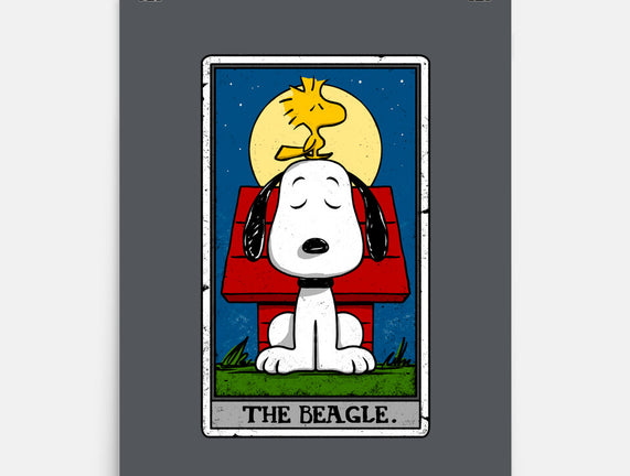 The Beagle