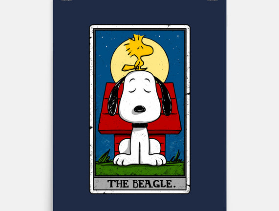 The Beagle